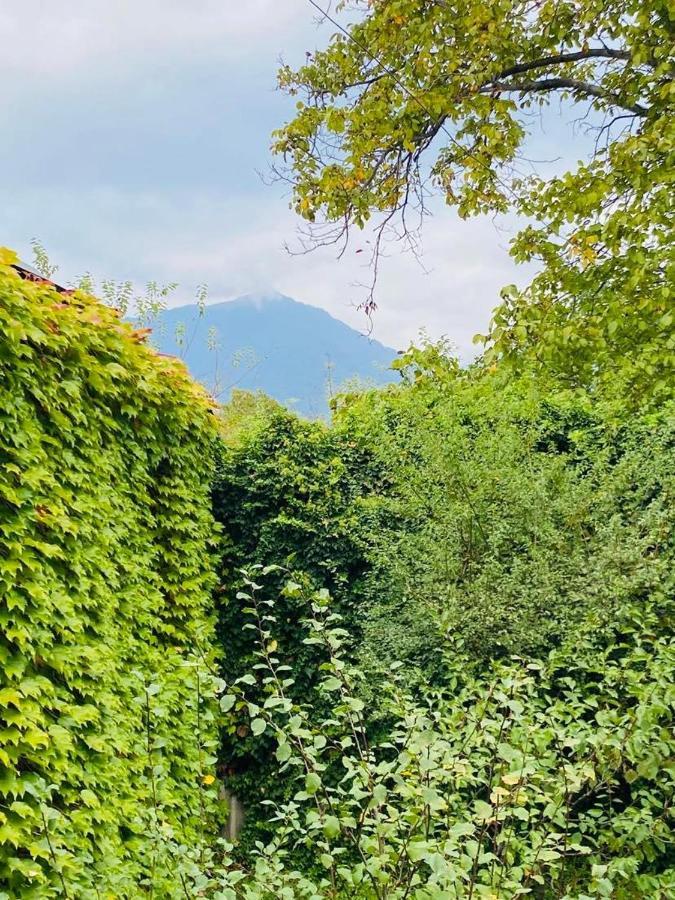 Green House Hotel Лагодехи Екстериор снимка