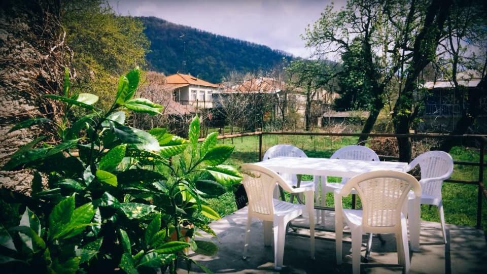 Green House Hotel Лагодехи Екстериор снимка